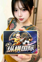 纵横国际